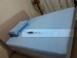 Blk 243 Jurong East Street 24 (Jurong East), HDB 3 Rooms #487227251